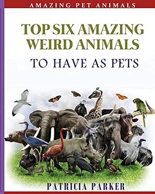Top Six Amazing Weird Animals: To Have As Pets-..