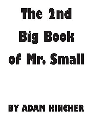 The 2ND Big Book Of Mr. Small-..