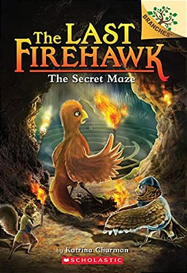 The Secret Maze: A Branches Book (The Last Firehawk #10): Volume 10-..