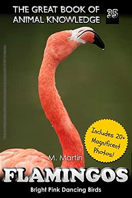 Flamingos: The Bright Pink Dancing Birds-..