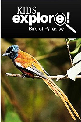 Birds Of Paradise - Kids Explore: Animal Books Nonfiction - Books Ages 5-6-..