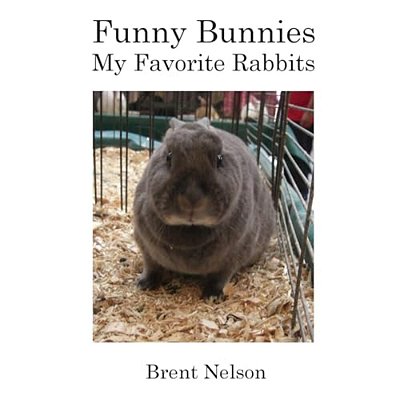 Funny Bunnies: My Favorite Rabbits-..
