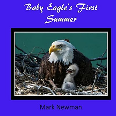 Baby Eagle's First Summer-..