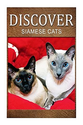 Siamese Cats - Discover: Early Reader's Wildlife Photography Book-..