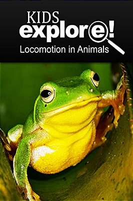 Flyers Gliders - Kids Explore: Animal Books Nonfiction - Books Ages 5-6-..