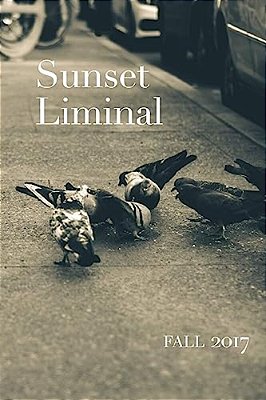 Sunset Liminal Vol. 5: Fall 2017-..