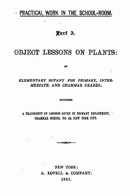 Practical Work In The School Room, Given In Primary Department, Grammar School No. 49, New York City-..
