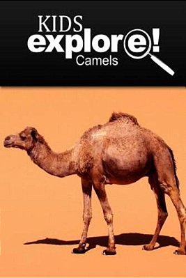 Camels - Kids Explore: Animal Books Nonfiction - Books Ages 5-6-..