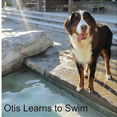 Otis Learns To Swim-..