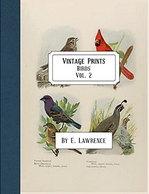 Vintage Prints: Birds: Vol. 2-..