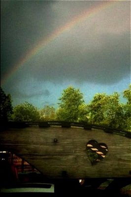 Amelia Chronicles-..