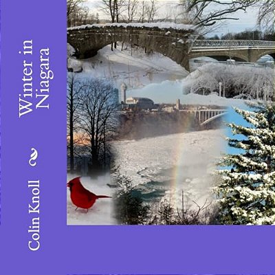 Winter In Niagara-..