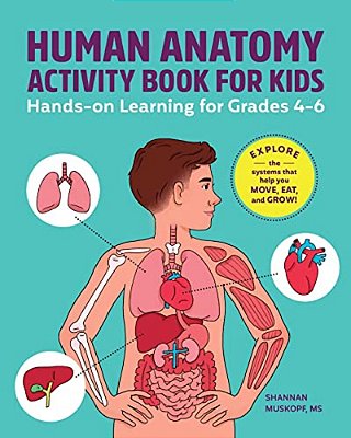 Human Anatomy Activity Book For Kids: Hands-On Learning For Grades 4-6-..
