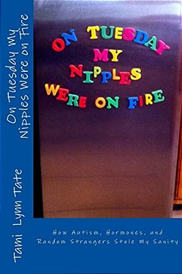 On Tuesday My Nipples Were On Fire: How Autism, Hormones, And Random Strangers Stole My Sanity-..
