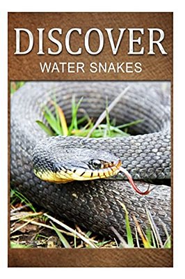 Water Snake - Discover: Early Reader's Wildlife Photography Book-..