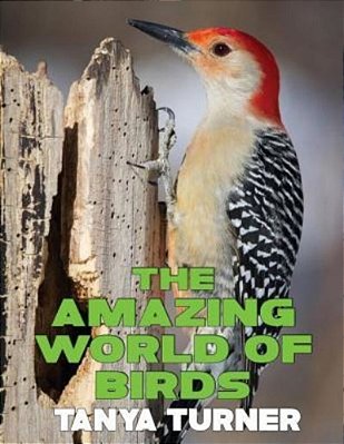 The Amazing World Of Birds: Do Your Kids Know This?: A Children's Picture Book-..
