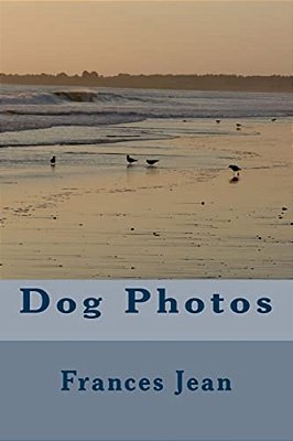 Dog Photos-..
