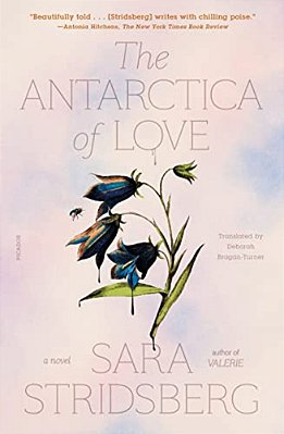The Antarctica Of Love-..