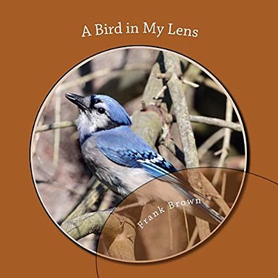 A Bird In My Lens-..