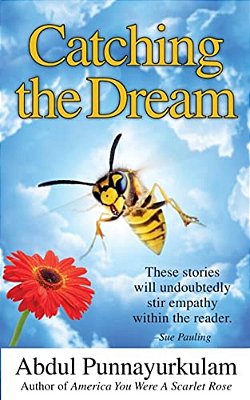 Catching The Dream-..