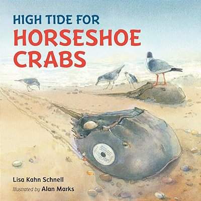 High Tide For Horseshoe Crabs-..