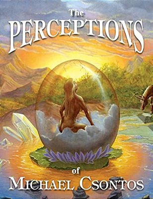 The Perceptions Of Michael Csontos-..