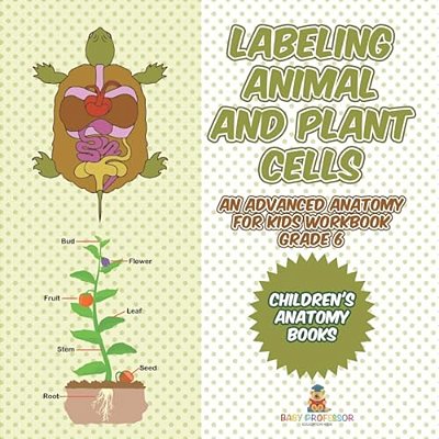 Labeling Animal And Plant Cells - An Advanced Anatomy For Kids Workbook Grade 6 Children's Anatomy Books-..