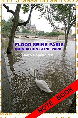 Inondation Seine Paris 2016: Flood Seine Paris-..