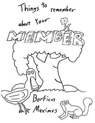 Things To Remember About Your Member: A Whimsical Coloring Book For Adults-..