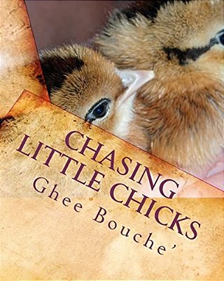 Chasing Little Chicks-..