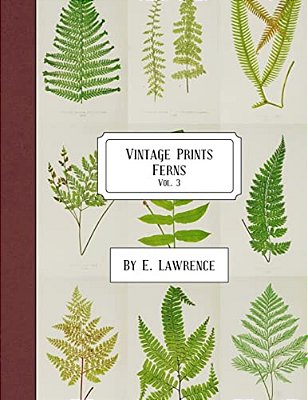 Vintage Prints: Ferns: Vol. 3-..