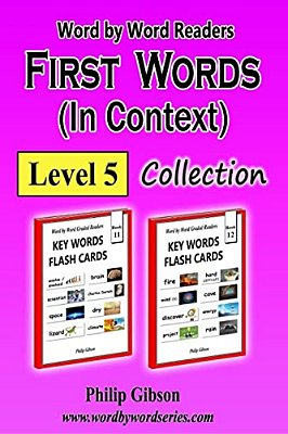 First Words In Context: Level 5: Learn The Important Words First. -..