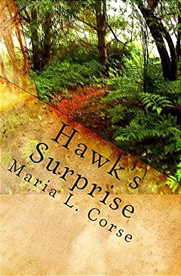 Hawks Surprise: Book One In The School House Gang Series-..