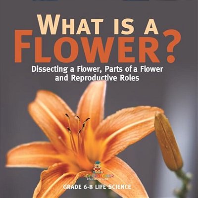 What Is A Flower? Dissecting A Flower, Parts Of A Flower And Reproductive Roles Grade 6-8 Life Science-..
