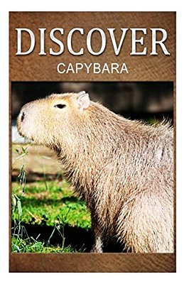 Capybara - Discover: Early Reader's Wildlife Photography Book-..