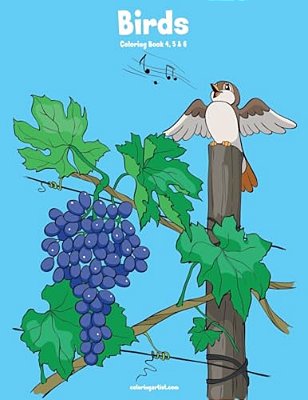 Birds Coloring Book 4, 5 & 6-..