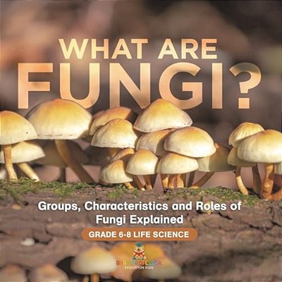 What Are Fungi? Groups, Characteristics And Roles Of Fungi Explained Grade 6-8 Life Science-..