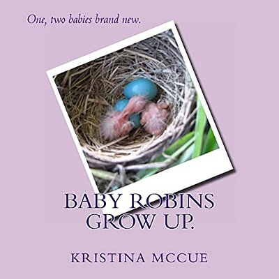 Baby Robins Grow Up. -..