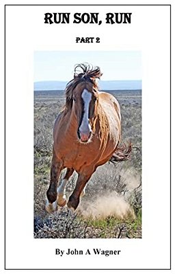 Run Son, Run Part 2-..