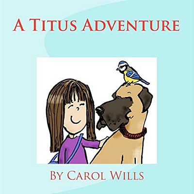 A Titus Adventure-..