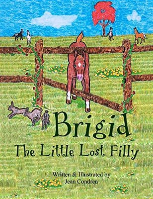 Brigid, The Little Lost Filly-..
