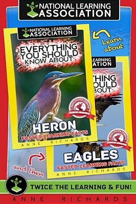 Everything You Should Know About: Eagles And Herons-..