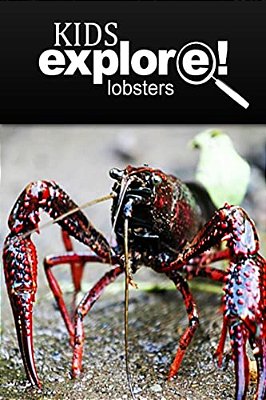 Lobster - Kids Explore: Animal Books Nonfiction - Books Ages 5-6-..