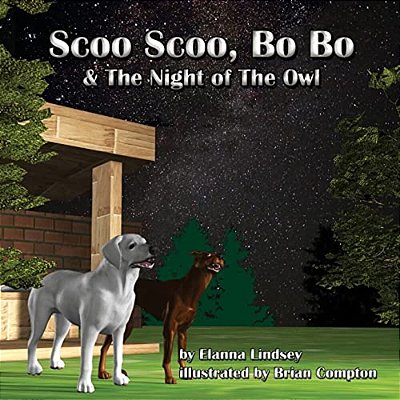 Scoo Scoo, Bo Bo And The Night Owl-..