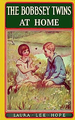 The Bobbsey Twins At Home-..