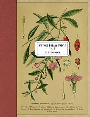 Vintage Botany Prints: Vol. 2-..