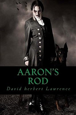 Aaron S Rod-..