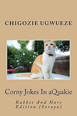 Corny Jokes In Aquakie: Rabbit And Hare Edition (Soraya)-..