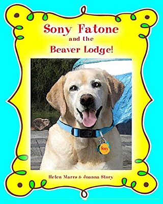 Sony Fatone And The Beaver Lodge-..