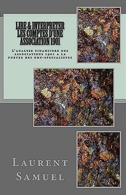 Lire & Interpreter Les Comptes D'Une Association 1901: L'Analyse Financiere Des Associations 1901 A La Portee Des Non-Specialistes-..